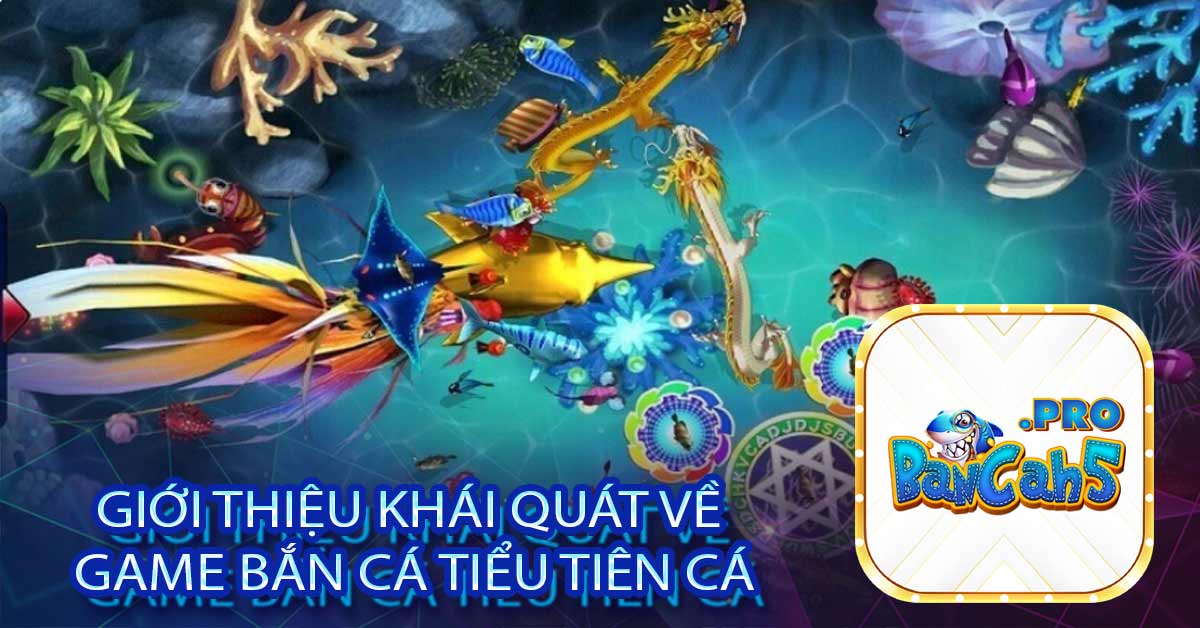 Giới thiệu khái quát về Game bắn Cá Tiểu Tiên Cá