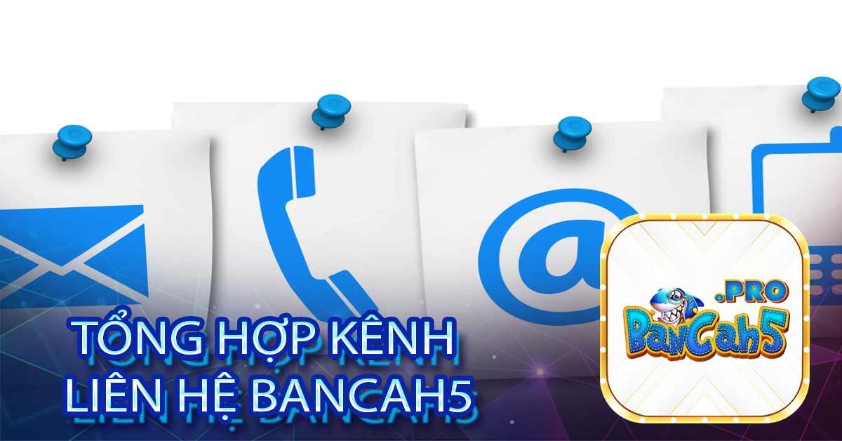 Tổng hợp kênh liên hệ Bancah5