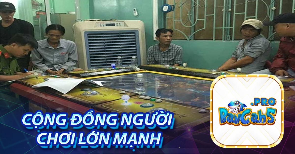 Cộng đồng người chơi lớn mạnh